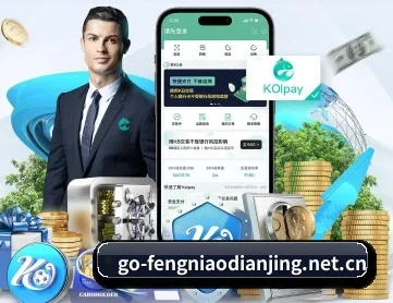蜂鸟电竞 APP 深度功能